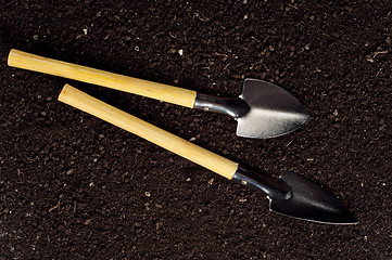 Image showing Soil and garden tool