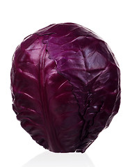 Image showing Fresh cabbage