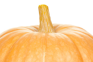 Image showing Ripe pumpkins