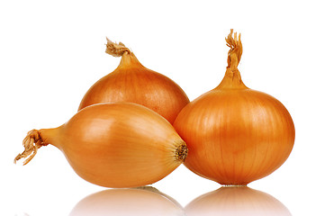 Image showing Fresh onion