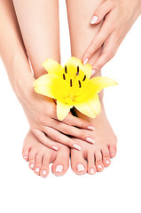 Image showing Feet with flower