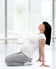 Image showing Pregnant fitness woman