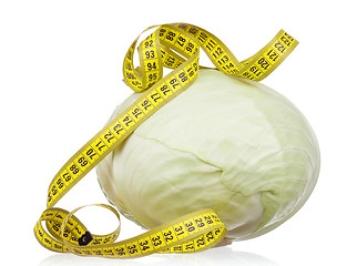 Image showing Fresh cabbage