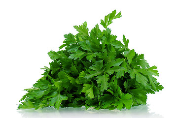 Image showing Fresh parsley