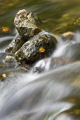 Image showing Rocks in a streamlet