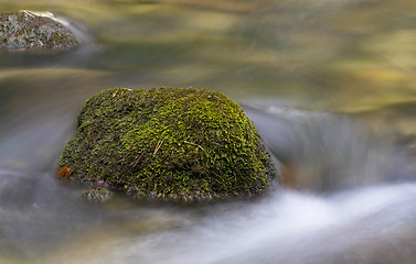 Image showing Rocks in a streamlet