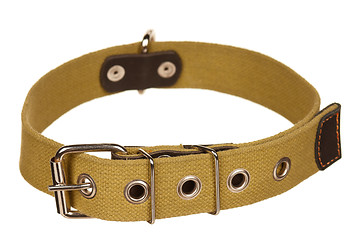 Image showing Dog collar