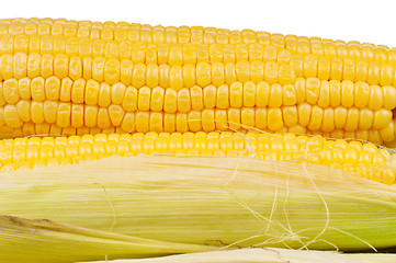 Image showing Fresh corn