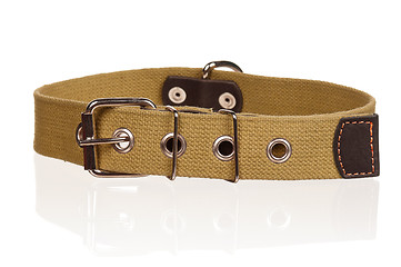 Image showing Dog collar