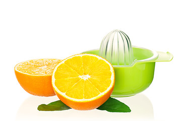 Image showing Juicer for citrus