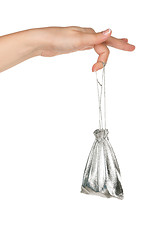 Image showing Hand with money bag
