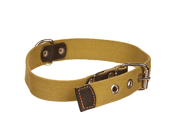 Image showing Dog collar