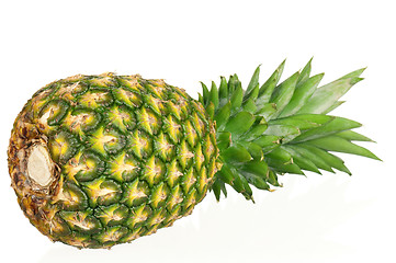 Image showing Pineapple