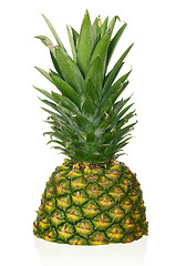 Image showing Pineapple