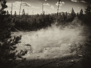 Image showing Yellowstone Geyser