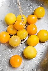 Image showing Washing yellow tomatoes and lemons