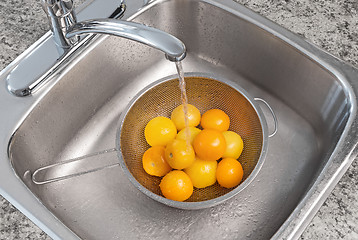 Image showing Washing yellow tomatoes