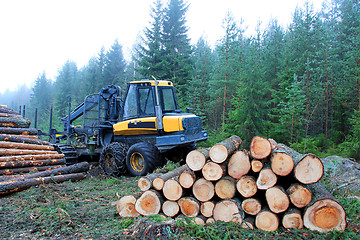 Image showing Forwarder at Logging Site