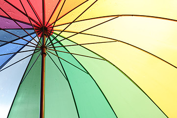 Image showing Under an umbrella