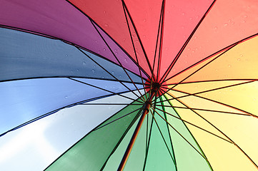 Image showing Under an umbrella