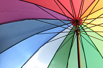 Image showing Under an umbrella