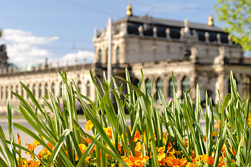 Image showing dresden and flowers