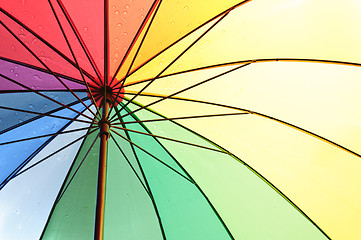 Image showing Under an umbrella