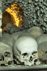 Image showing  skull