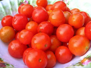 Image showing Background of red small ripe tomatoes