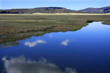 Image showing Reflection