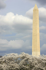 Image showing Washington Memorial