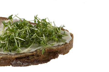 Image showing Cress and bread and butter