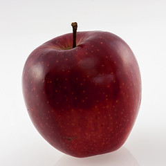 Image showing The red apple