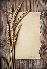 Image showing Wheat Ears