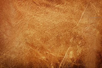 Image showing Leather Texture