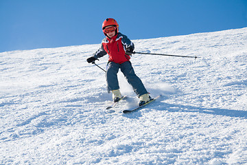 Image showing Young rider