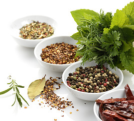 Image showing Spices And Herbs