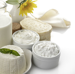 Image showing Dairy Products