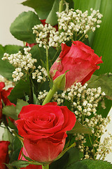 Image showing Bouquet of fresh red roses on white