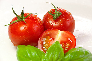 Image showing basil and tomatoes