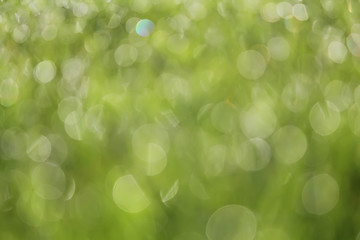 Image showing Abstract blurred soft background