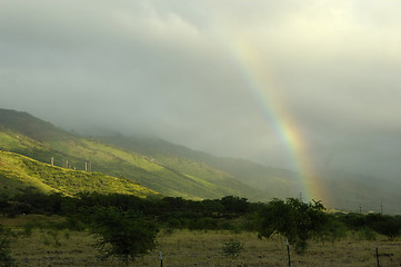 Image showing Tropical rainbow