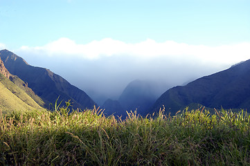 Image showing Tropical countryside