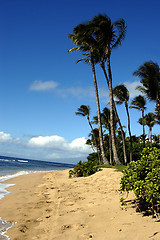 Image showing Tropical Beach