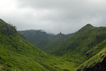 Image showing Tropical countryside II
