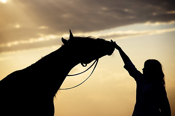 Image showing Woman and horse