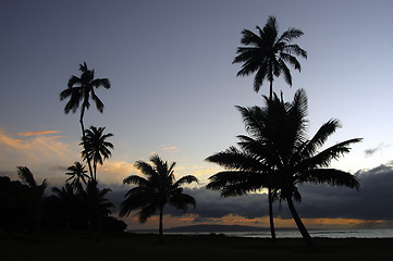 Image showing Tropical Sunset