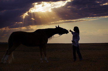 Image showing Woman and horse