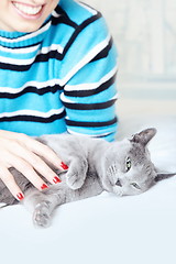 Image showing Pampering cat