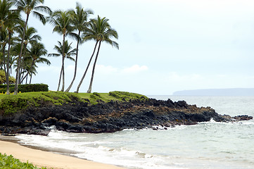 Image showing Another Tropical beach